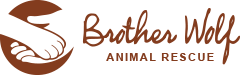 Brother Wolf Animal Rescue logo